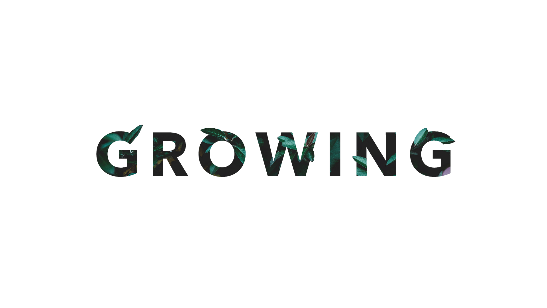 Growing | Redeemer Church, Springfield MO